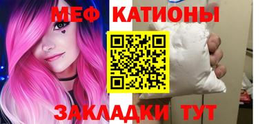 стаф Гай