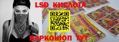 стаф Гай