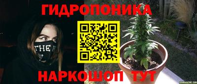 дживик Гагарин