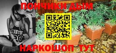стаф Гай