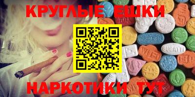 стаф Гай