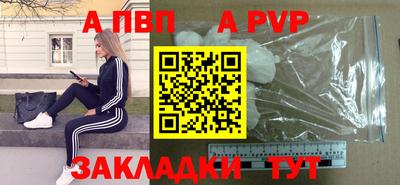 стаф Гай