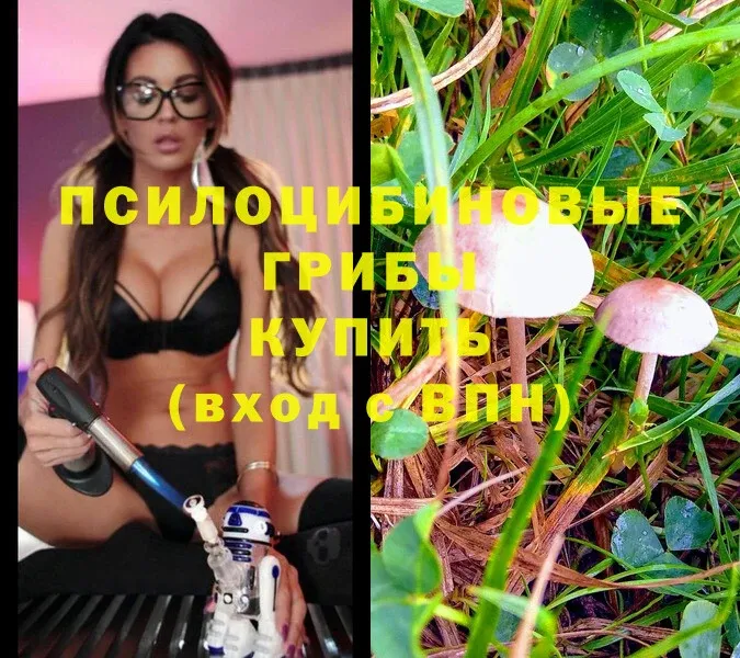 Псилоцибиновые грибы MAGIC MUSHROOMS  Копейск 