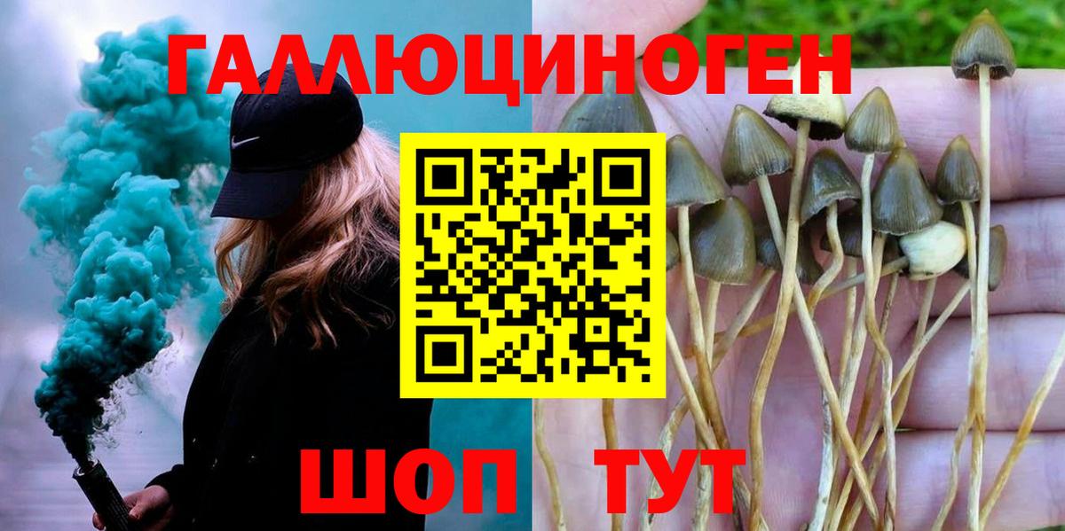 Псилоцибиновые грибы Magic Shrooms  Копейск 